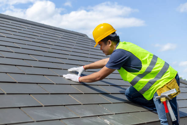 Best Roof Gutter Cleaning  in Hayfield, MN