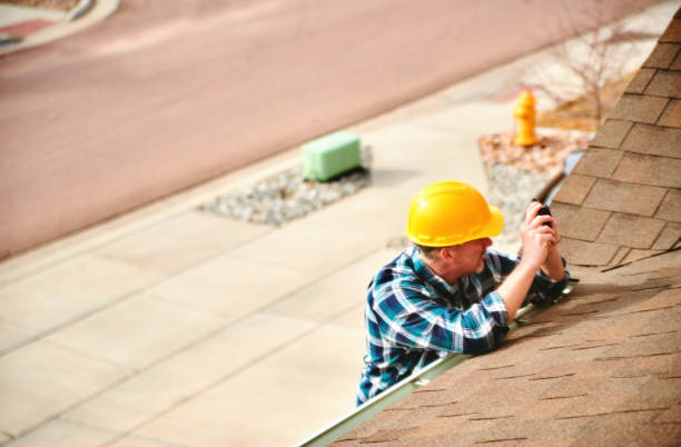 Roof Gutter Cleaning in Hayfield, MN