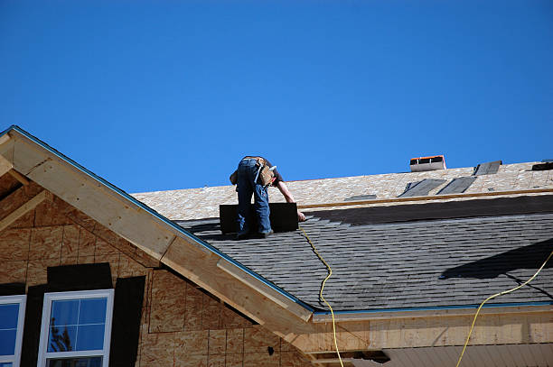 Best Flat Roof Repair Services  in Hayfield, MN