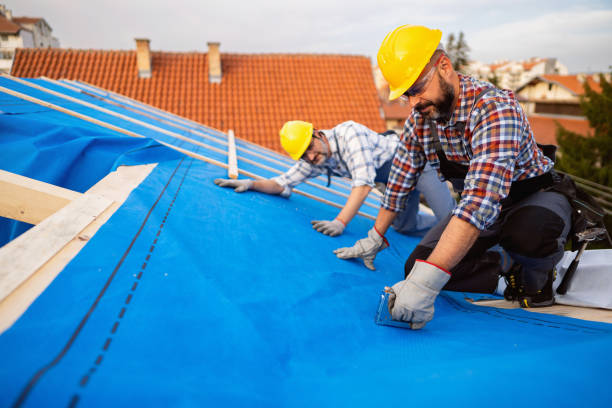 Roof Waterproofing Services in Hayfield, MN