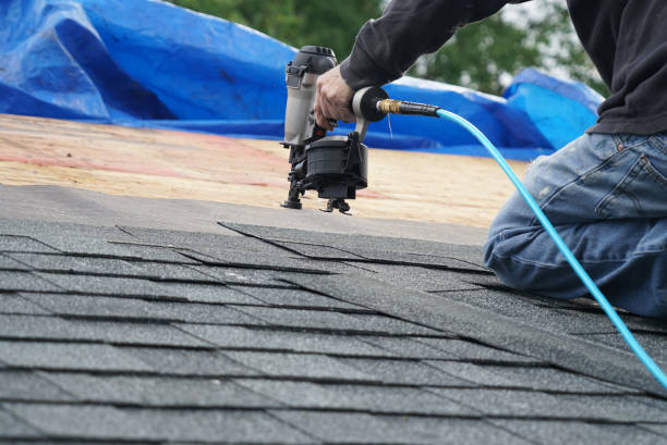 Best Metal Roofing Contractor  in Hayfield, MN