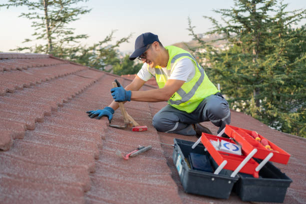 Best Roof Leak Repair  in Hayfield, MN