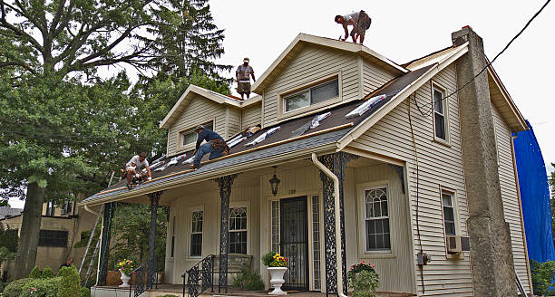 Quick and Trustworthy Emergency Roof Repair Services in Hayfield, MN