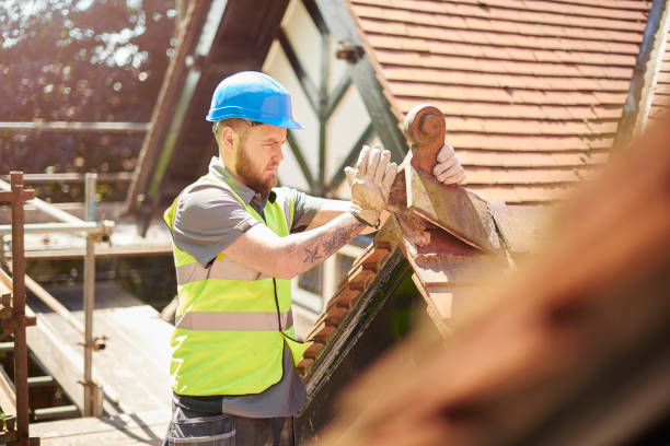Best Roof Gutter Cleaning  in Hayfield, MN
